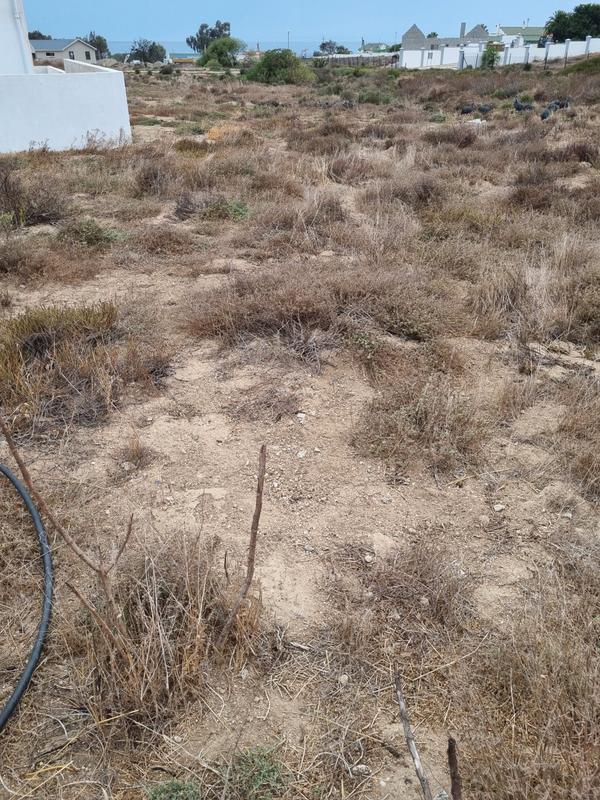 3 Bedroom Property for Sale in St Helena Views Western Cape